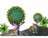 HANTA