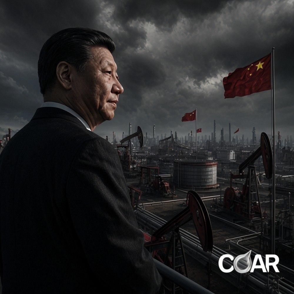 Chinese Oil Asset Reserve logo