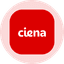 Ciena (Ondo Tokenized) logo