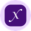 Direxion Daily Semi Bull 3X ETF (Ondo Tokenized) logo