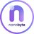 NBT