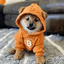 Dog (Bitcoin) logo