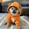 Dog (Bitcoin) logo