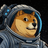 DOGE-1