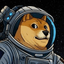 DOGE-1 Satellite logo