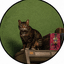 GTA6CAT (thegta6cat.com) logo