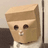 ZCAT