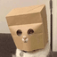 Anonymous Cat logo