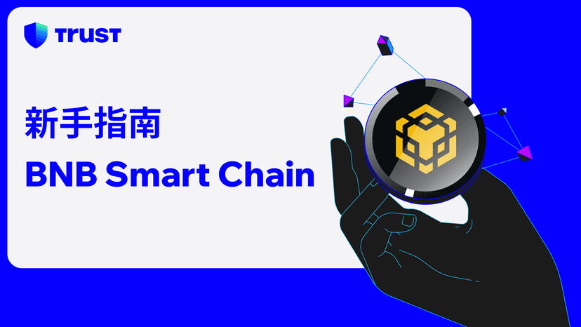 BNB Smart Chain 新手指南