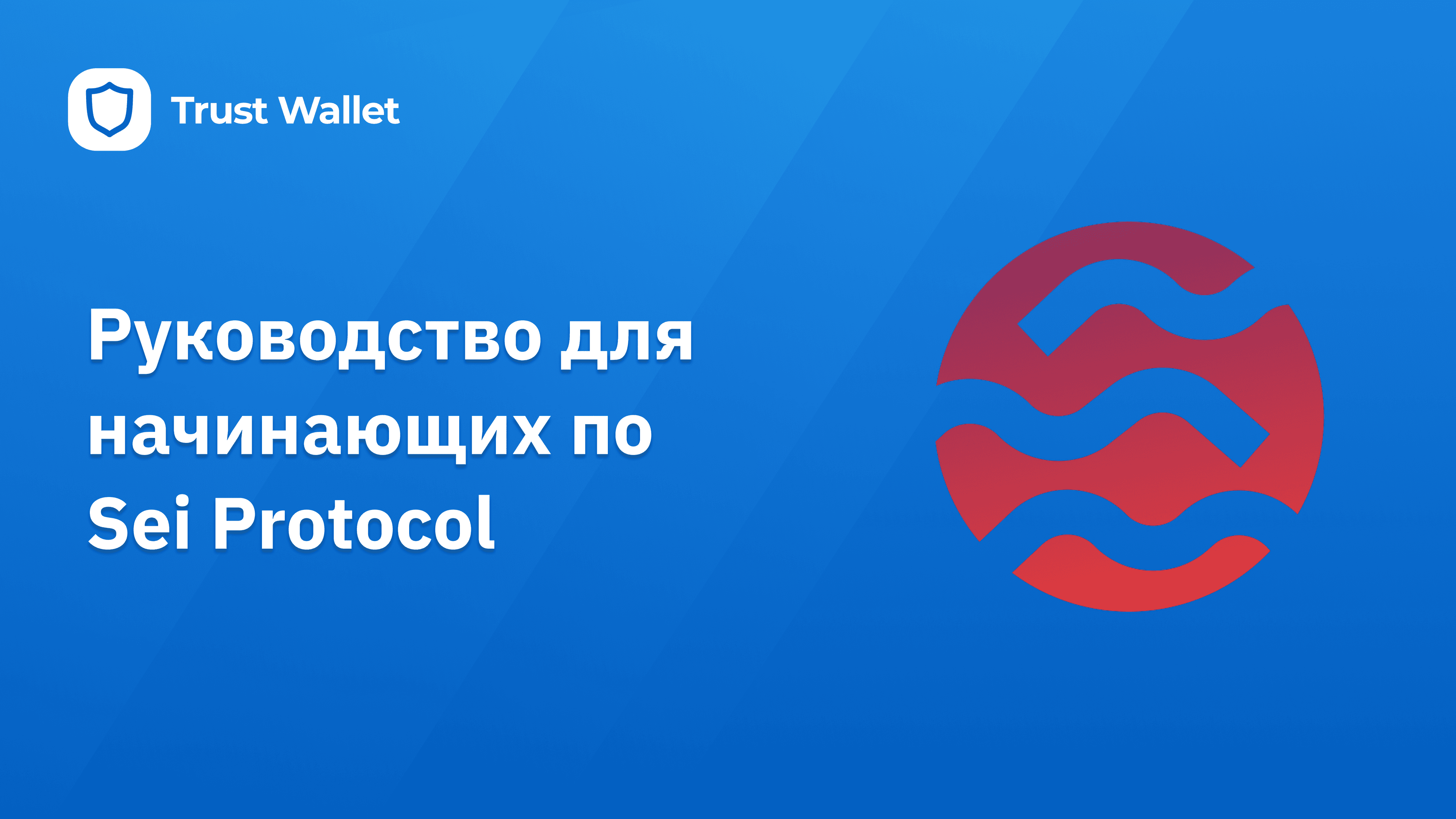 Руководство для начинающих по Sei Protocol: Революция в децентрализованной торговле активами