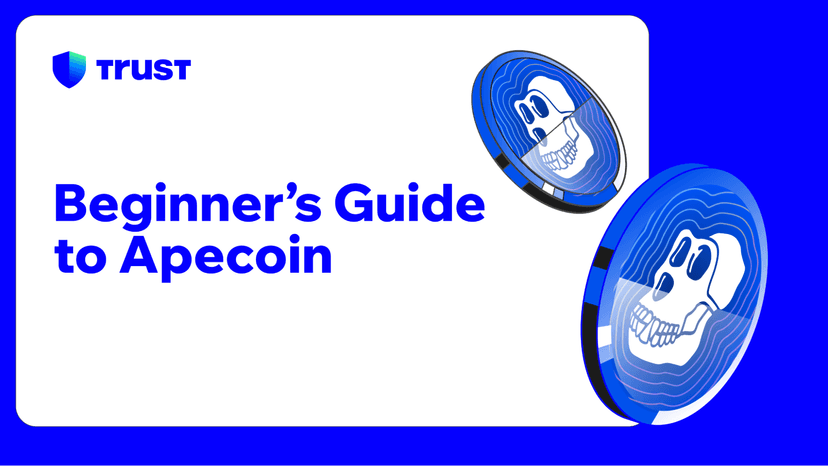 Beginner's Guide to ApeCoin