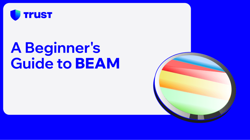 A Beginner's Guide to BEAM