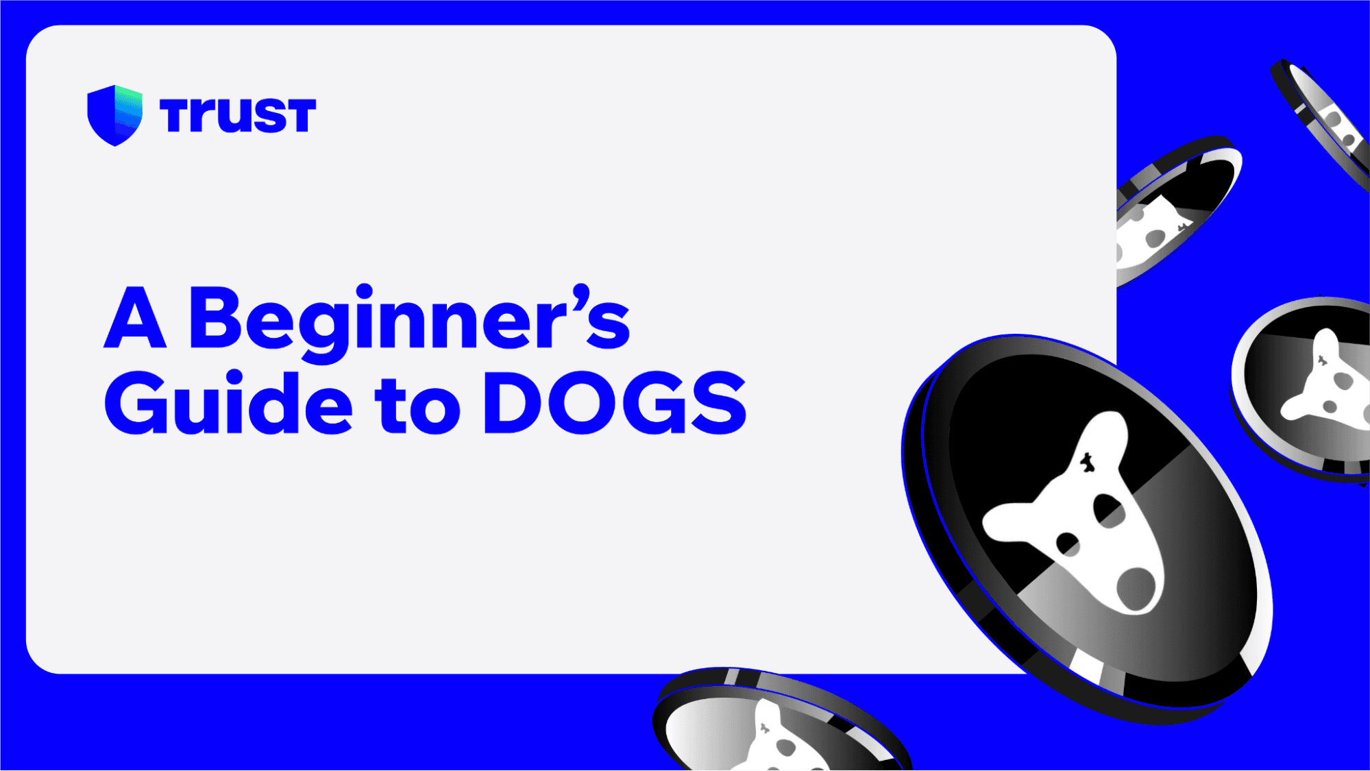 A Beginner's Guide to DOGS