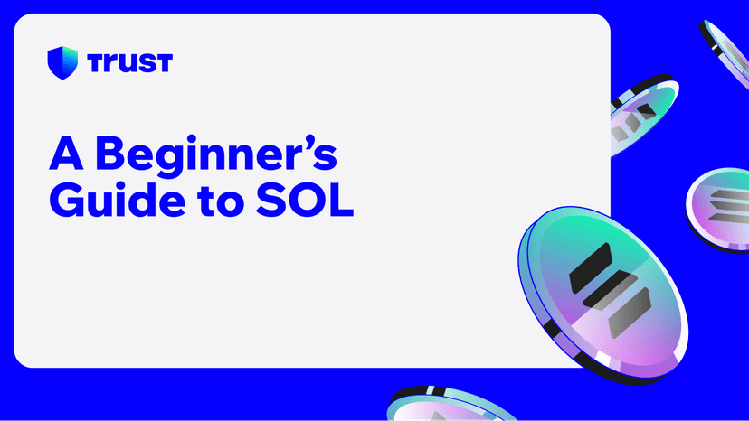 A Beginner’s Guide to SOL