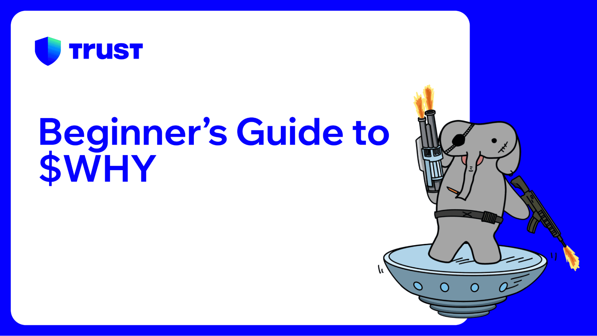 Beginner's Guide to $WHY