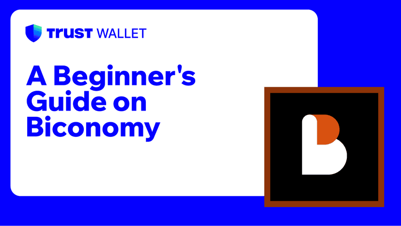 A Beginner's Guide on Biconomy