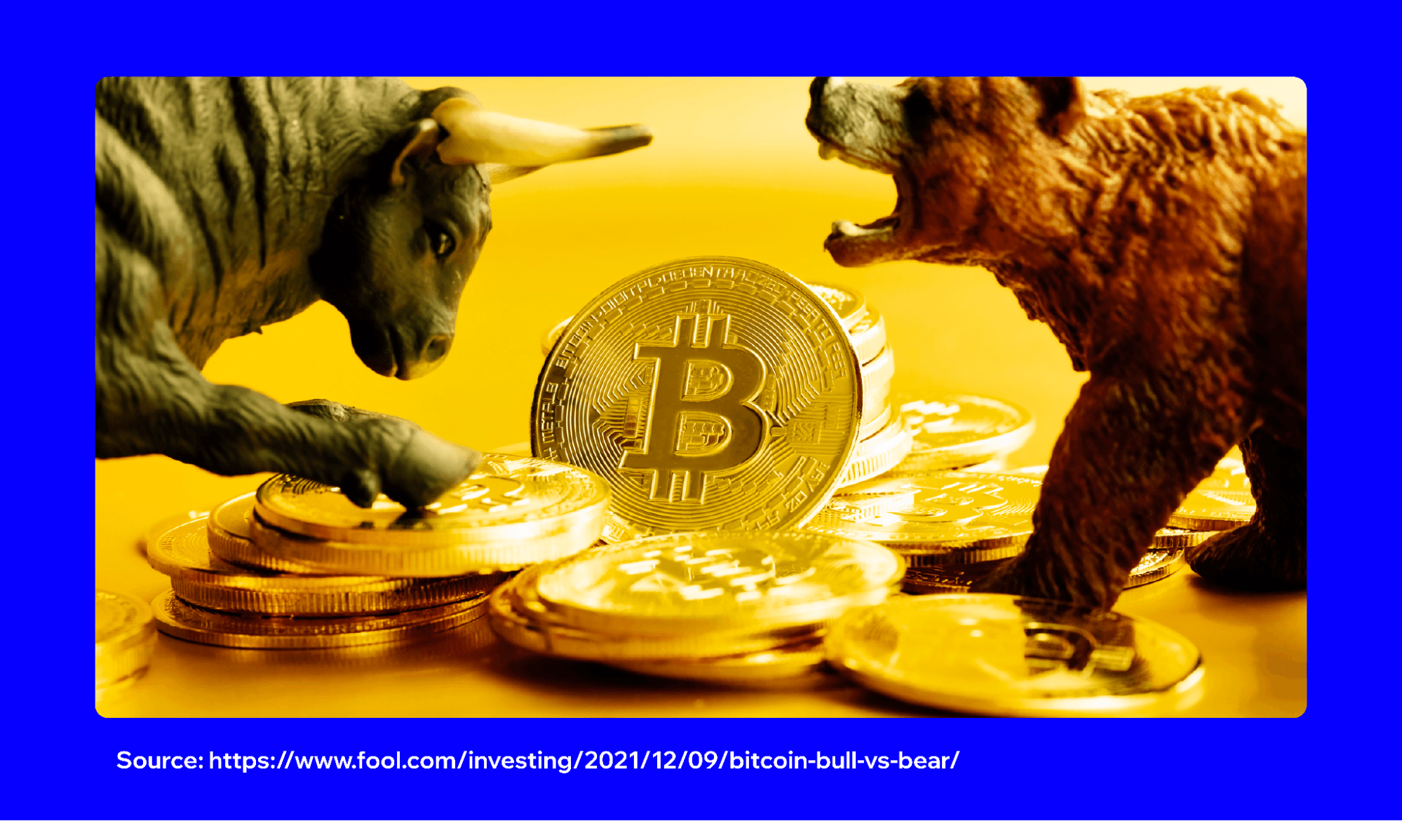 bitcoin-bull-market-or-trap-3.png