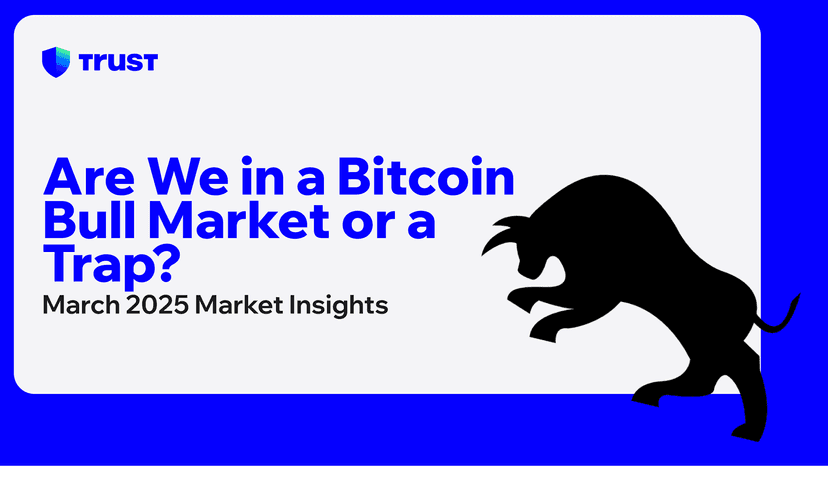 Are We in a Bitcoin Bull Market or a Trap? March 2025 Market Insights