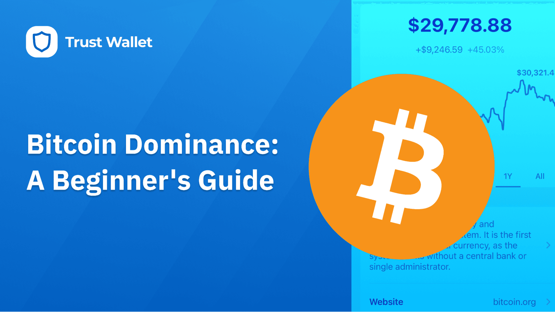 Bitcoin Dominance: A Beginner's Guide 