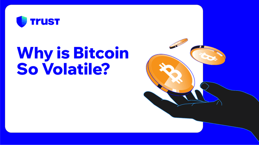 Why is Bitcoin So Volatile?