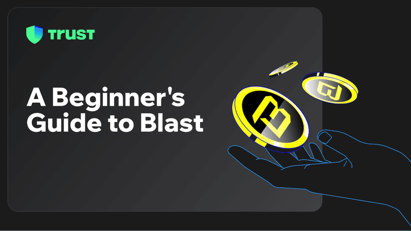 A Beginner's Guide to Blast