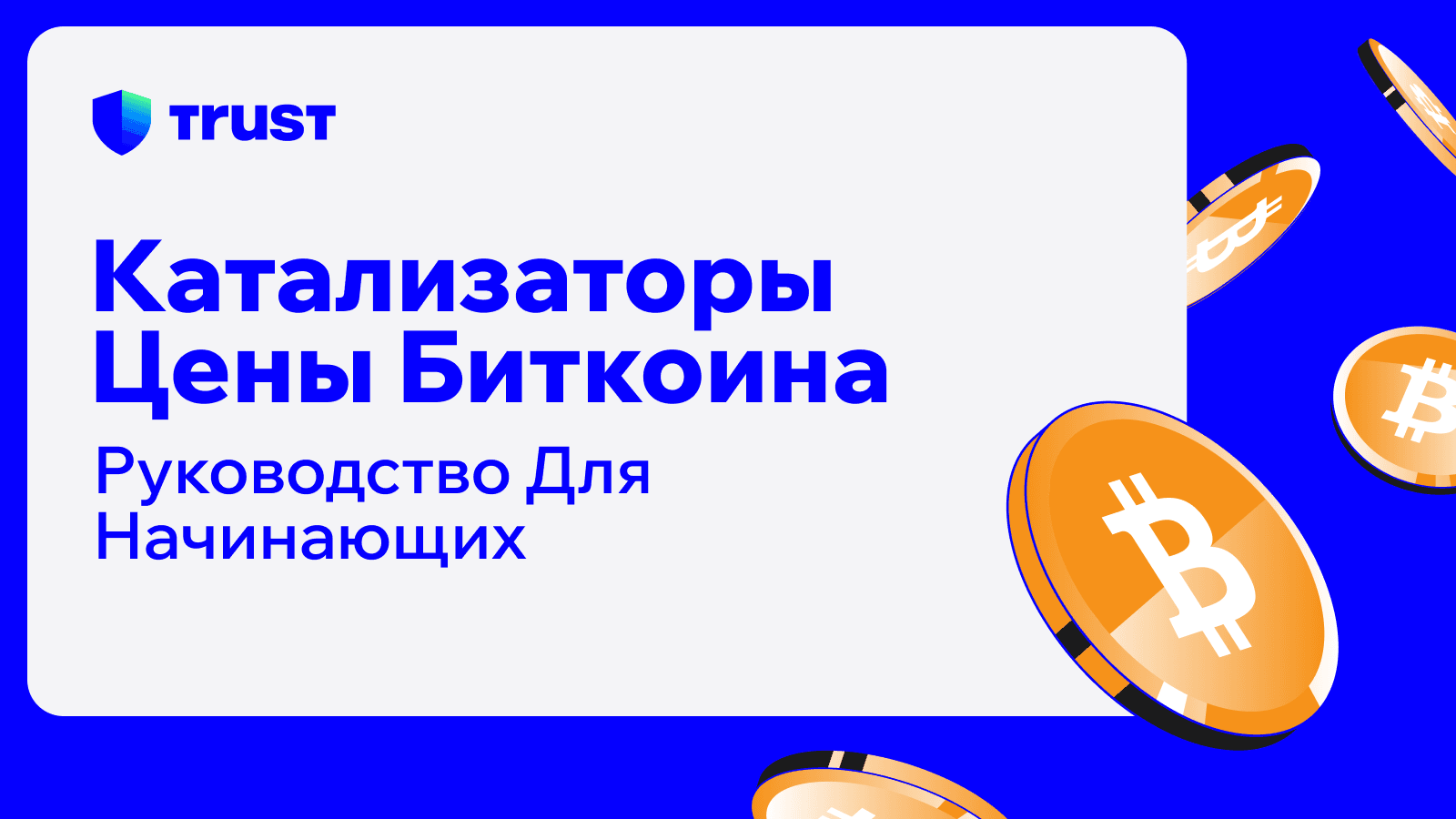 Катализаторы цены биткоина: Руководство для начинающих