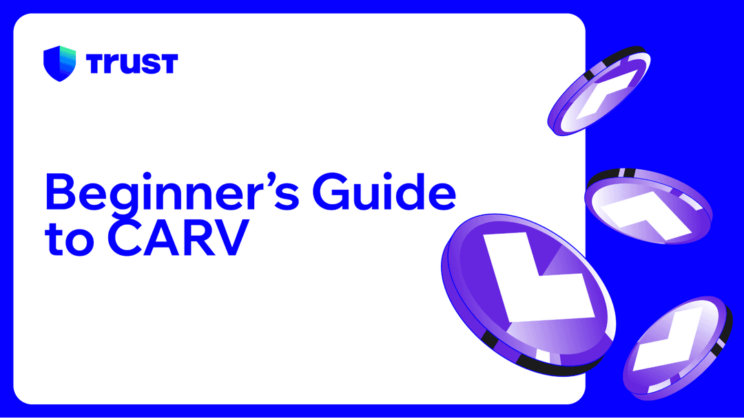 Beginner's Guide to CARV