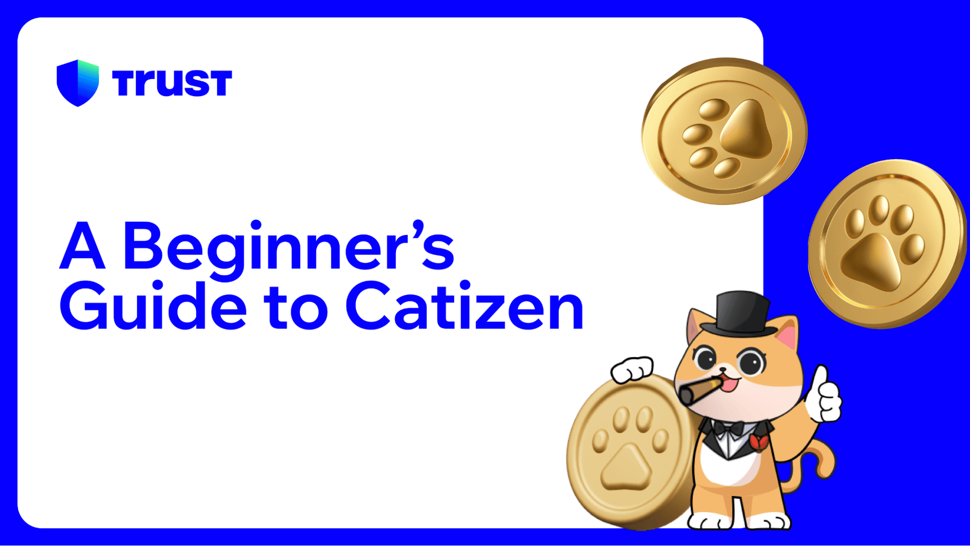 A Beginner's Guide to Catizen