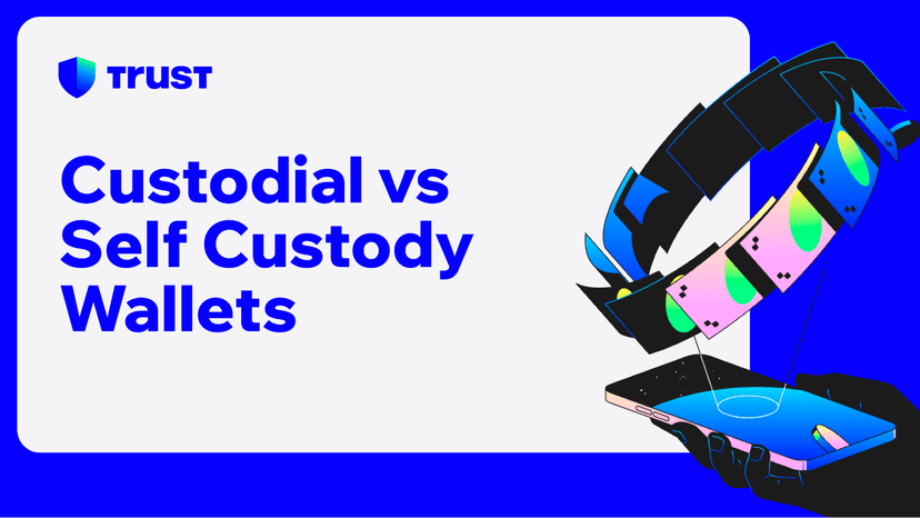 Custodial vs Self Custody Wallets