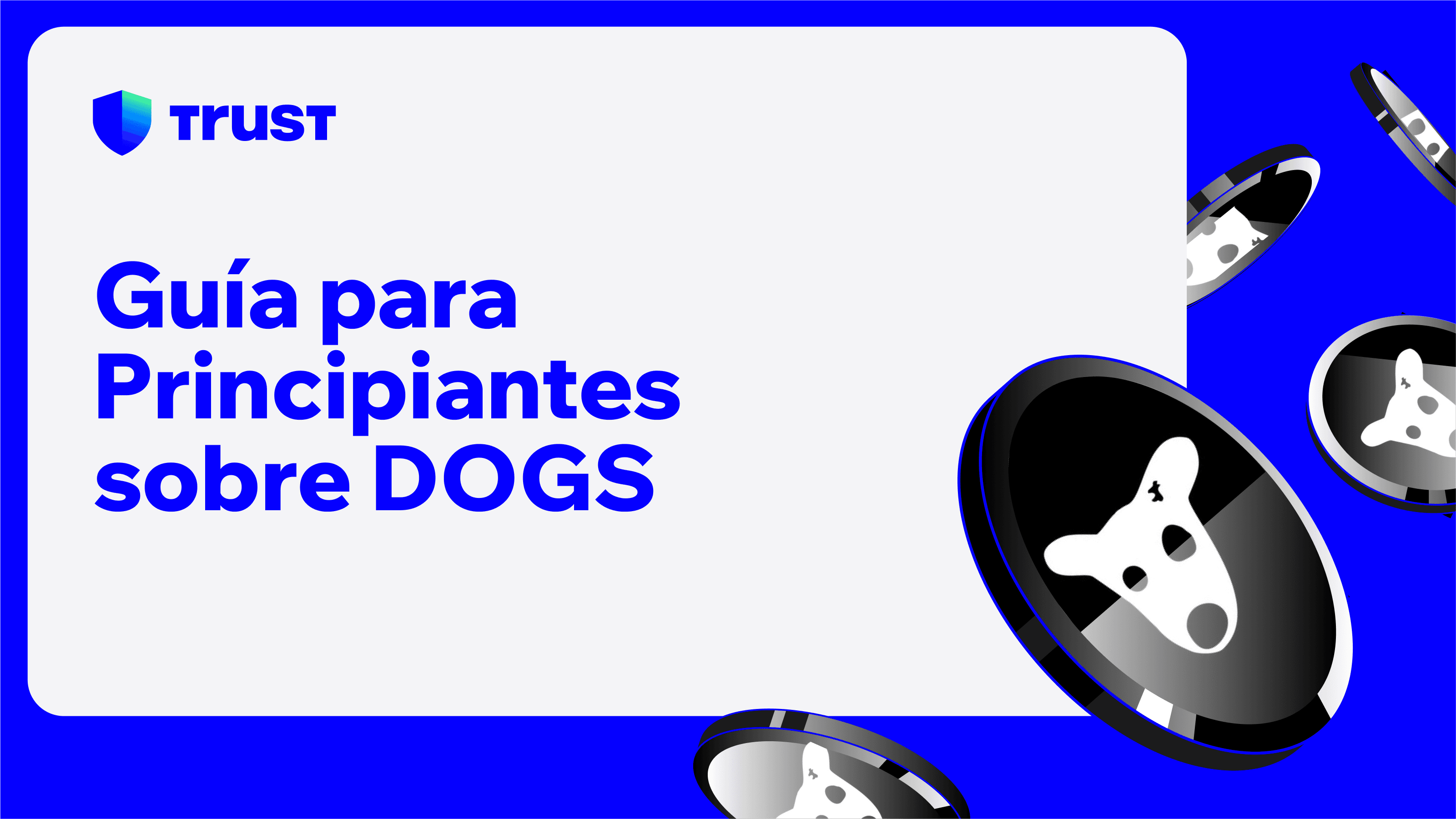 Guía para Principiantes sobre DOGS