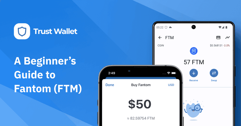 A Complete Beginner’s Guide to the Fantom (FTM) Network