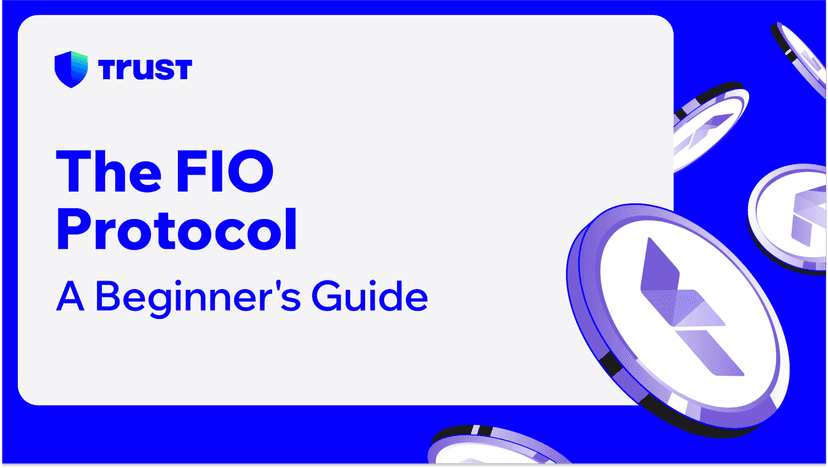 The FIO Protocol: A Beginner's Guide