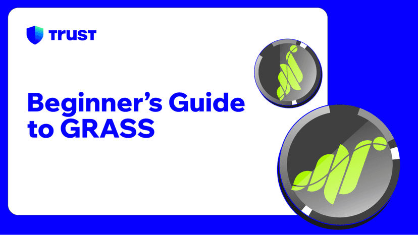 Beginner's Guide to GRASS