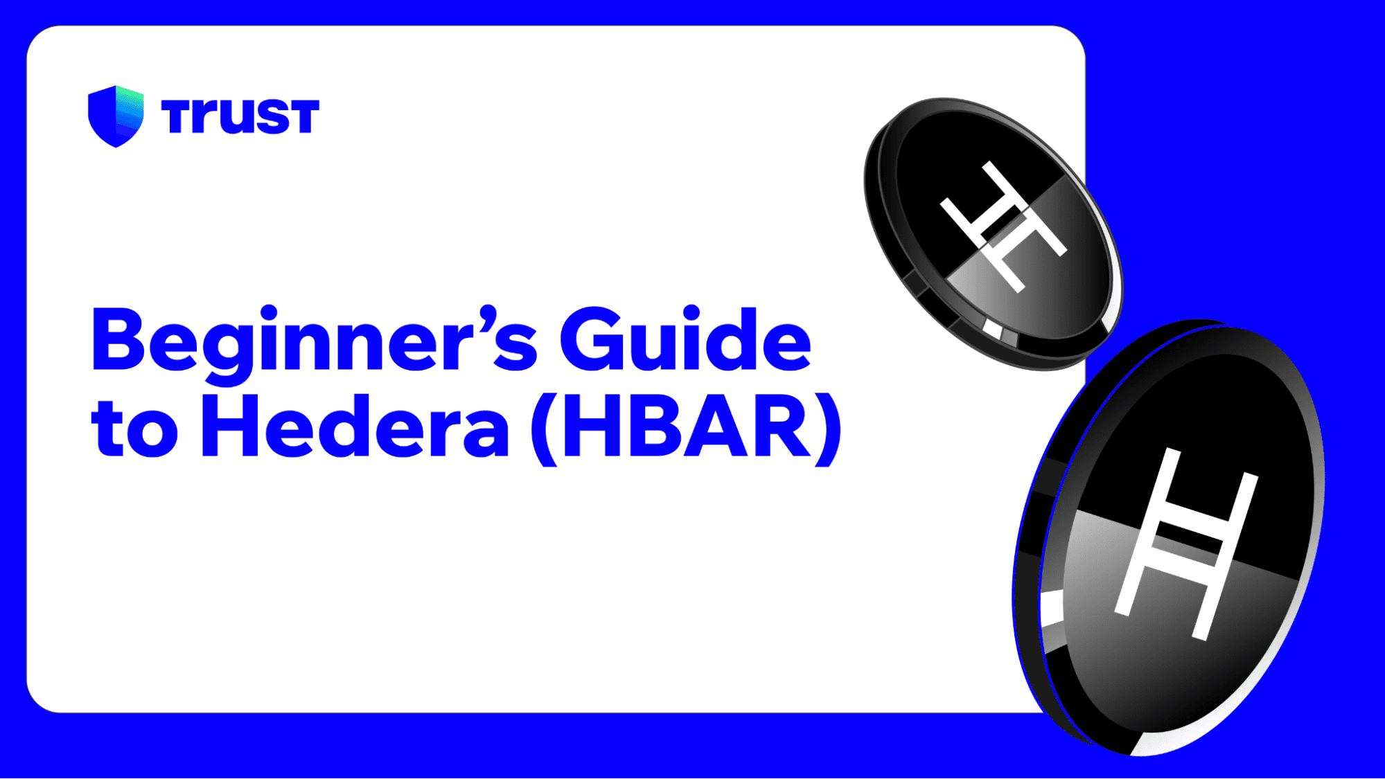 Beginner's Guide to Hedera (HBAR)