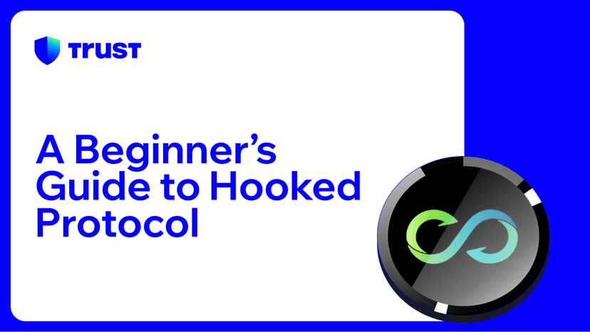 A Beginner's Guide to Hooked Protocol