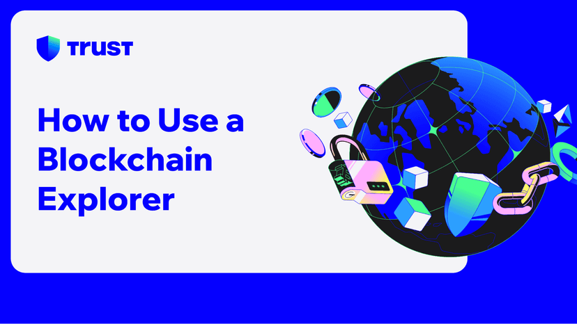 How to Use a Blockchain Explorer