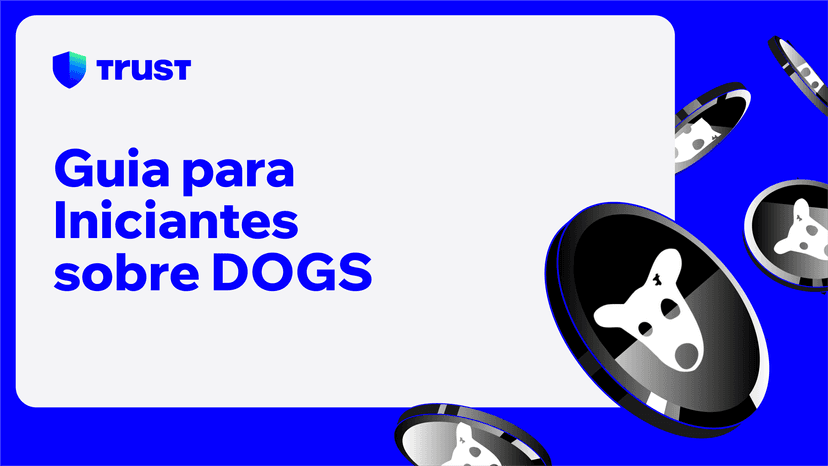 Guia para Iniciantes sobre DOGS