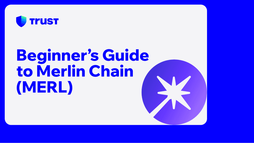 Beginner's Guide to Merlin Chain (MERL)