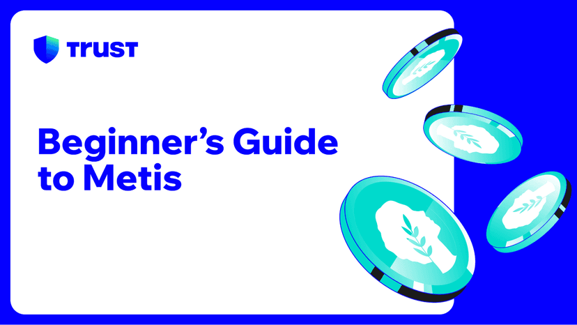 Beginner's Guide to Metis