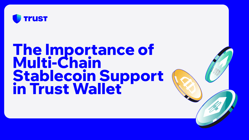 The Importance of Multi-Chain Stablecoin Support in Trust Wallet