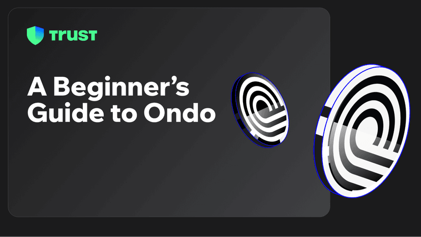 A Beginner's Guide to Ondo