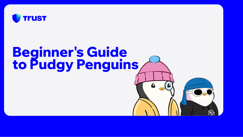 Beginner's Guide to Pudgy Penguins