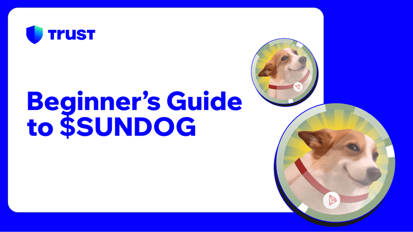 Beginner's Guide to SUNDOG