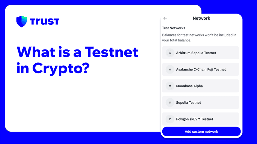 What is a Testnet in Crypto?
