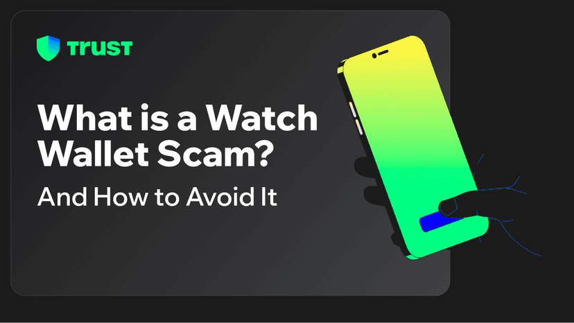 What is a Watch Wallet Scam? And How to Avoid It