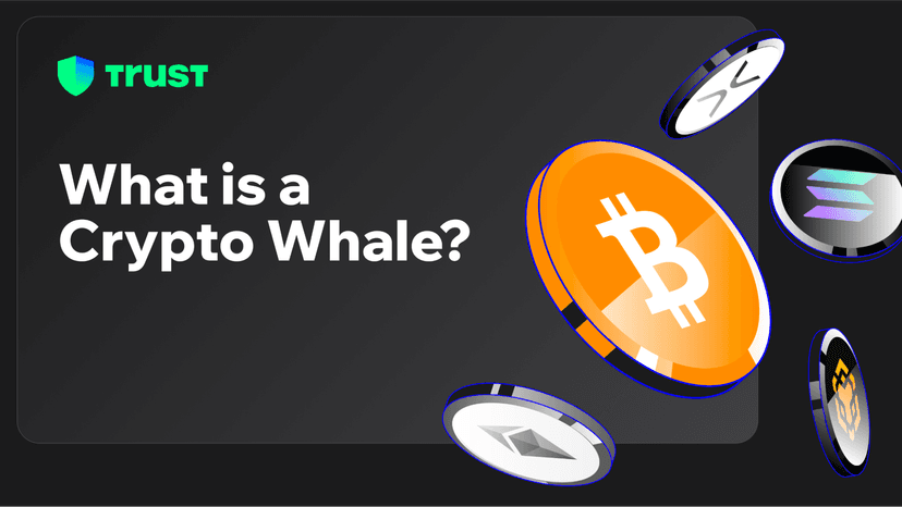 What is a Crypto Whale?