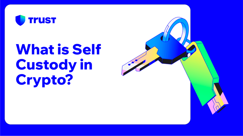 What is Self Custody in Crypto?