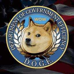 Department Of Government Efficiency logo