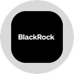 Blackrock, Inc. (Ondo Tokenized) logo