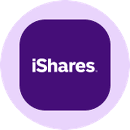 iShares Russell 2000 Value ETF (Ondo Tokenized) logo